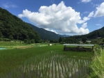 道志村の風景
